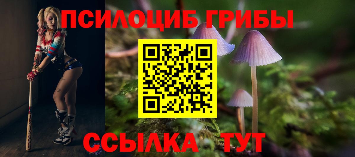 Псилоцибиновые грибы мухоморы  Вход с VPN  Сосновый Бор 